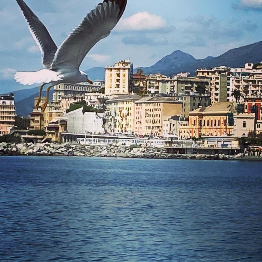 La Casa Dei Sogni Di Dory Lägenhet Genua Exteriör bild